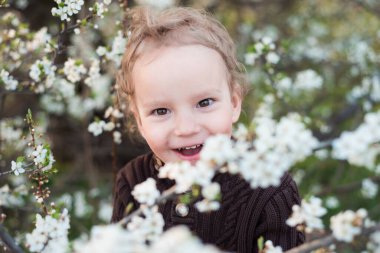 Yanında güzel bir çocuğun yüzü vardı. Bahçesinde beyaz çiçekler olan dallar arasında komik stil sahibi bir çocuk. Kahverengi gözler ve beyaz bukleler beyaz tenli şık bir çocuğa.