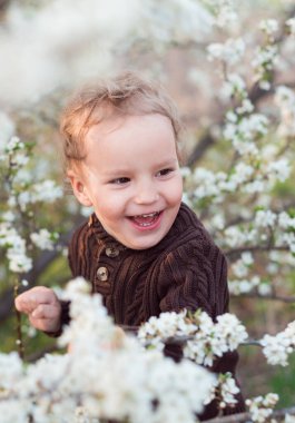 Baharda çiçek açan bahçede şık bir sarışın çocuk. Çocukların gülüşü. Baharda beyaz çiçeklerin yanında bir çocuğun portresi. Mutlu çocukluk