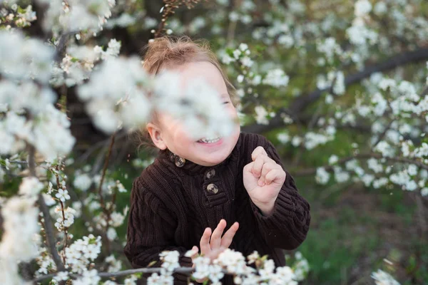 Baby plays hide and seek. The little boy hid his face behind the white flowers of the tree. Spring adventures of children