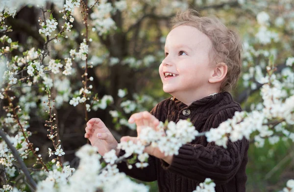 Een Kinderportret Het Voorjaar Bij Witte Bloemen Gelukkige Jeugd Een Stockfoto