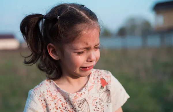 Liten Vacker Flicka Gråter Bittert Förbittring Barnet Tog Illa Upp — Stockfoto