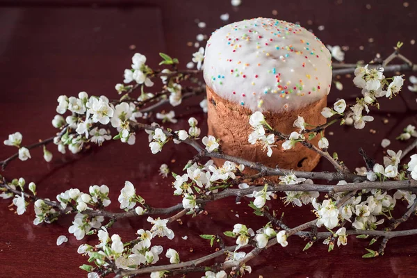 Beautiful round Easter cake. Confectionery covered with sweet glaze and white flowers on twigs. Easter concept