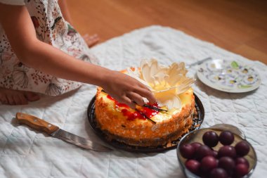 Renkli pasta beyaz şeker çiçekleriyle süslenmiştir. Evde yerde piknik var. Ev tatili