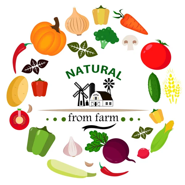 Zöldség Színes Ikonok Egy Fehér Háttér Természetes Farm — Stock Fotó