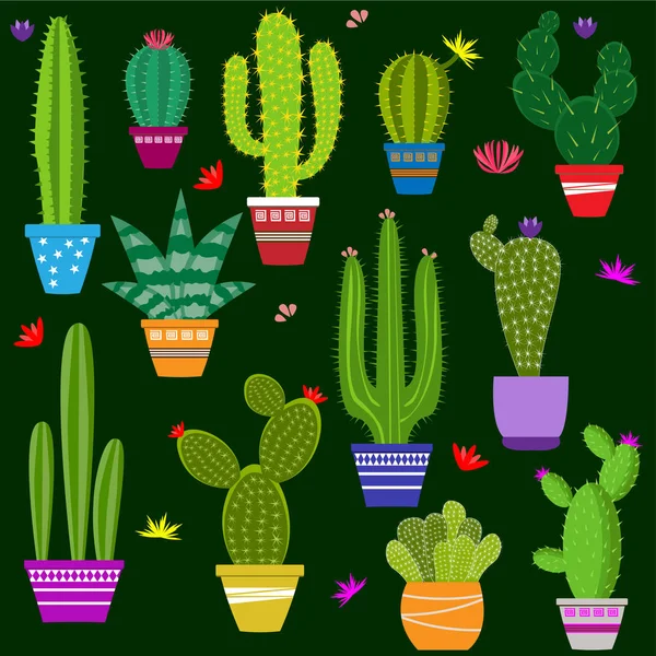 Set Van Illustraties Van Schattige Cactus Vetplanten Potten Met Planten — Stockvector