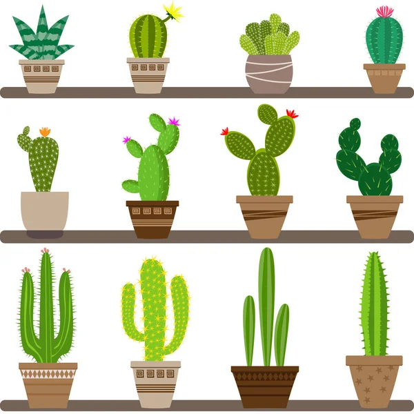 Iconos Del Cactus Casero Del Vector Iconos Cactus Estilo Plano — Vector de stock