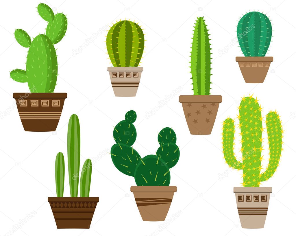 Cactus icons in a flat style on a white background.