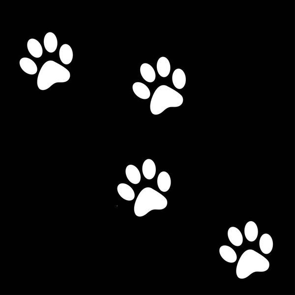 Animals footprints.Paw print vector isolated on black background