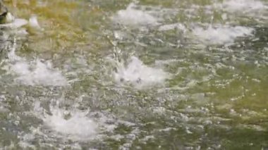 su jeti sıçramasına