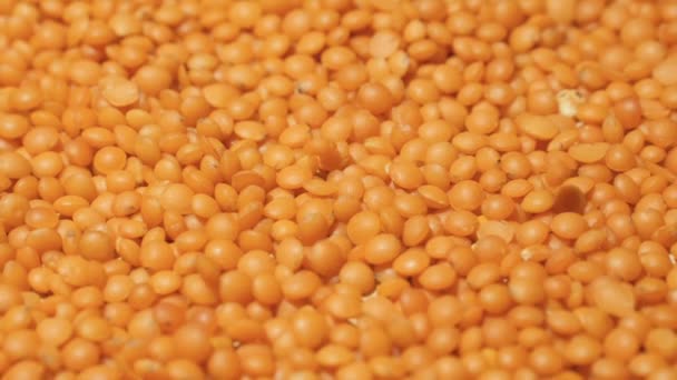 レンズ豆の粒がスローモーションで落ちる — ストック動画