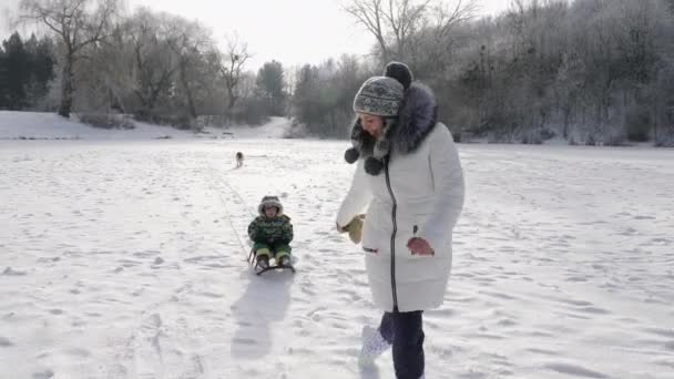 年轻的母亲在雪橇上滚她的儿子 — 图库视频影像