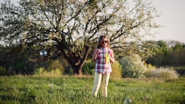 Ragazza che soffia bolle di sapone nel parco al tramonto — Video Stock