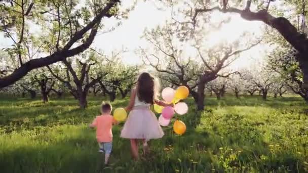 Kinderen lopen in een bloeiende tuin bij zonsondergang — Stockvideo