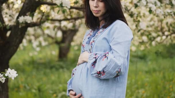 怀孕的妇女在一个开花的苹果果园休息 等待婴儿的年轻妇女 家庭对自然的爱的概念 — 图库视频影像