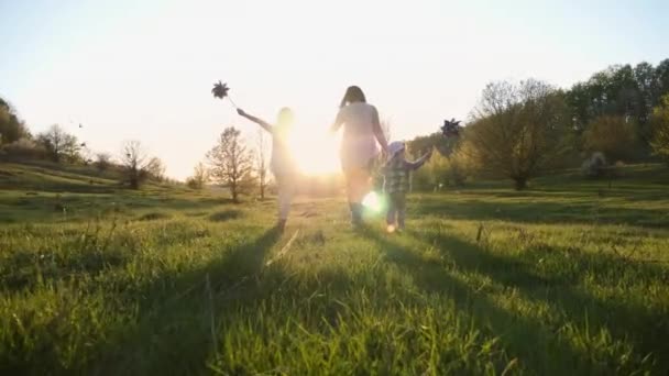 Mamá con dos hijos caminando en la naturaleza al atardecer — Vídeos de Stock