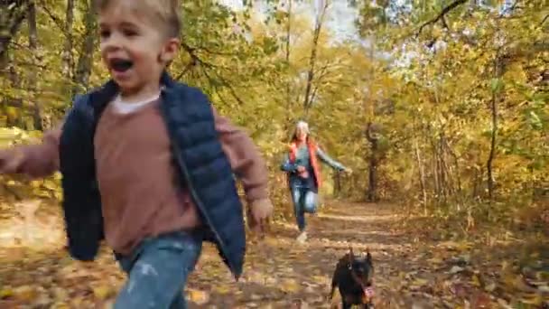 Δύο παιδιά τρέχουν με νάνο pinscher στο πάρκο φθινόπωρο — Αρχείο Βίντεο