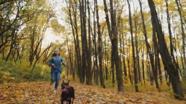 Chica joven corriendo con su lindo perro en el bosque de otoño — Vídeo de stock