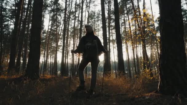 En flicka med vandringsstavar står mitt i skogen — Stockvideo