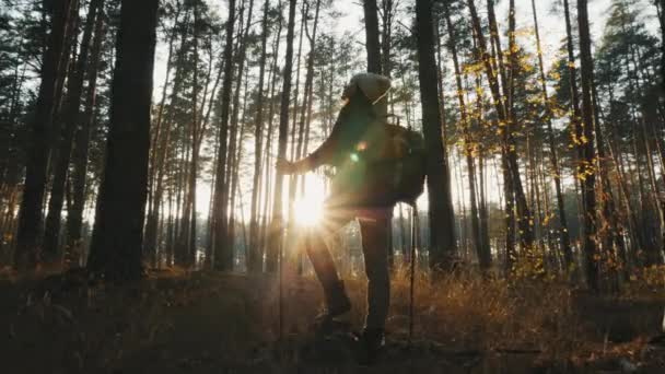 Uma menina com postes de trekking fica no meio da floresta — Vídeo de Stock