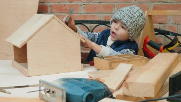 Маленький хлопчик будує годівницю для птахів — стокове відео