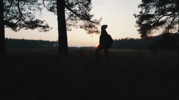 Девушка гуляет по лесу вечером — стоковое видео