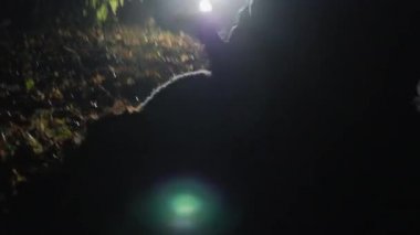 Saldırgan adam bir kadına şiddet uyguluyor.