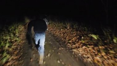 Bir suçlu bir kızı gece bir köy yolunda koşarken yakalıyor.