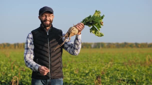 Olgun şeker pancarı tutan mutlu çiftçi — Stok video