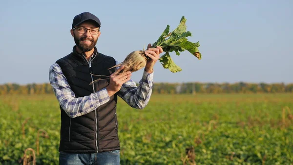 Olgun şeker pancarı tutan mutlu çiftçi