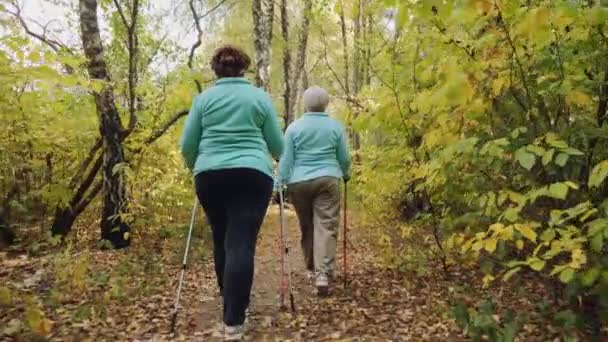Літні старші жінки практикують скандинавську ходьбу по природі. — стокове відео