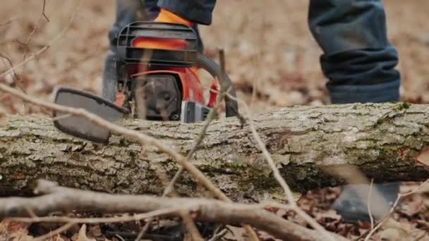 Man skär en fälld trädstam med en motorsåg — Stockvideo