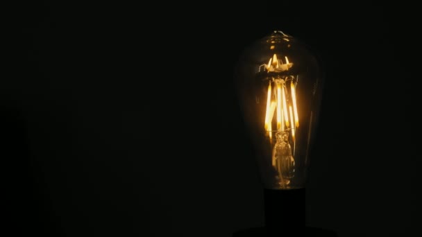 Edison light bulb against the dark background — Stock Video