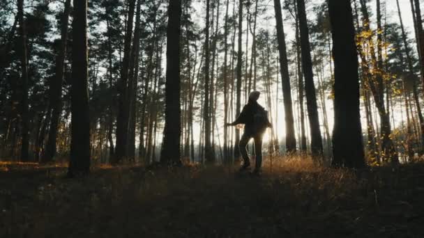 Девушка с треккинговыми столбами стоит посреди леса — стоковое видео