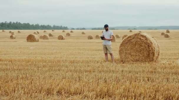 Farmer używa tabletu cyfrowego, pola ze stogami siana — Wideo stockowe