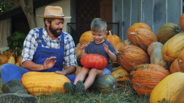 Papa et petit fils s'amusent à tambour sur les citrouilles — Video