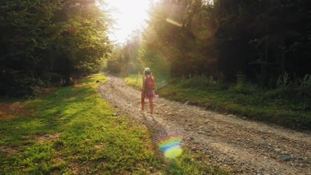 Escursione attraverso una foresta di montagna su una strada rocciosa — Video Stock