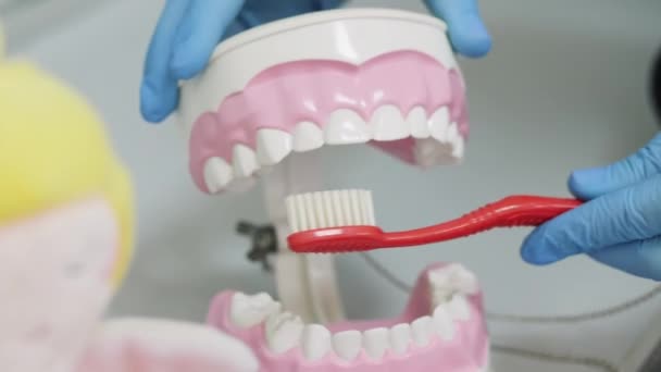 Il dentista insegna al paziente a lavarsi i denti — Video Stock