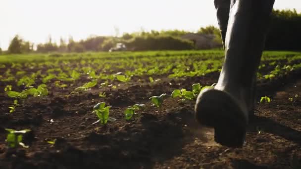 Farmář kráčí na hřišti v gumových botách — Stock video