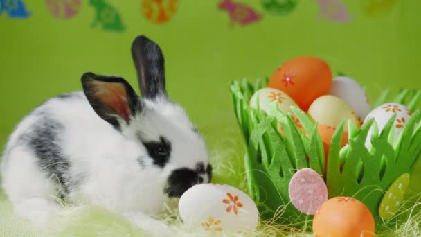 Kleines Kaninchen in der Nähe von Korb mit verzierten Eiern — Stockvideo
