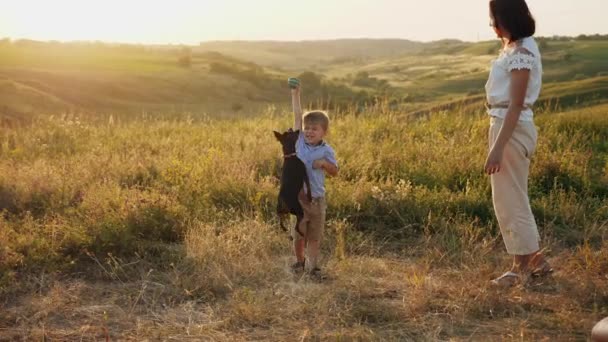 Mamma och lille son leker med en hund — Stockvideo