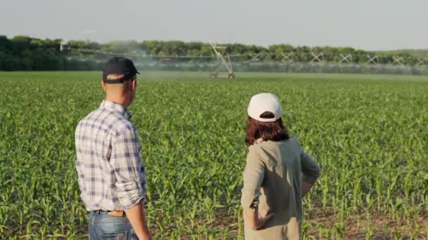 Dois agricultores discutem o sistema de irrigação — Vídeo de Stock