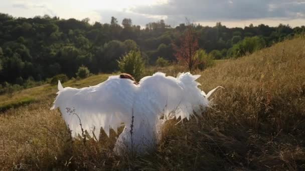 White angel sitting on dry grass on a hill — Stock Video