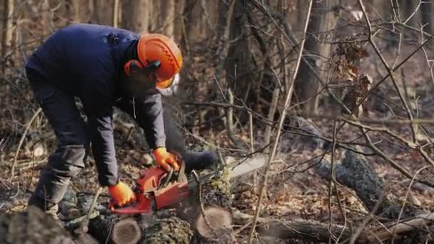 Робітник розрізає стовбур дерева бензопилою — стокове відео