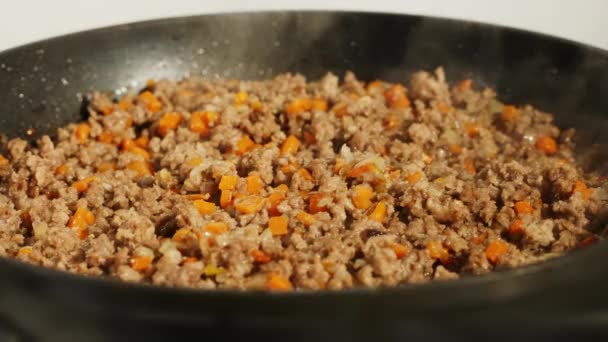 Bolognese sås läggs till i marken i svart pan — Stockvideo