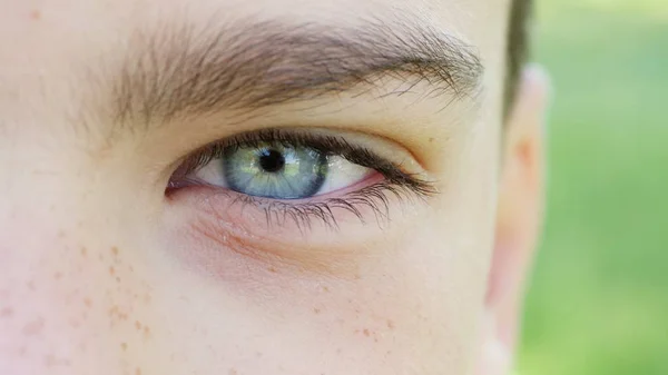 Het blauwe oog van een jongen close-up — Stockfoto