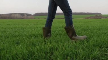 Lastik çizmeli bir çiftçi yeşil bir tarlada yürüyor.