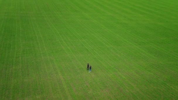 Luftaufnahme Zwei Bauern Stehen Inmitten Eines Grünen Winterweizenfeldes Und Diskutieren — Stockvideo
