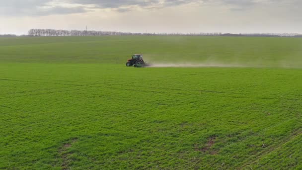 A tractor works in a field in spring. Aerial view — Stock Video