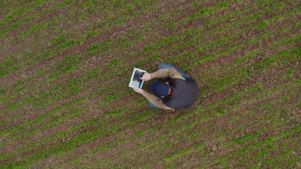 Egy farmer figyeli a téli búza növekedését. Légi felvétel — Stock videók