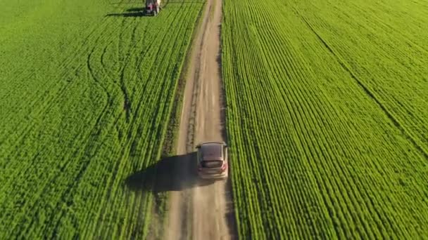 Un coche se mueve en el campo, vista aérea — Vídeos de Stock